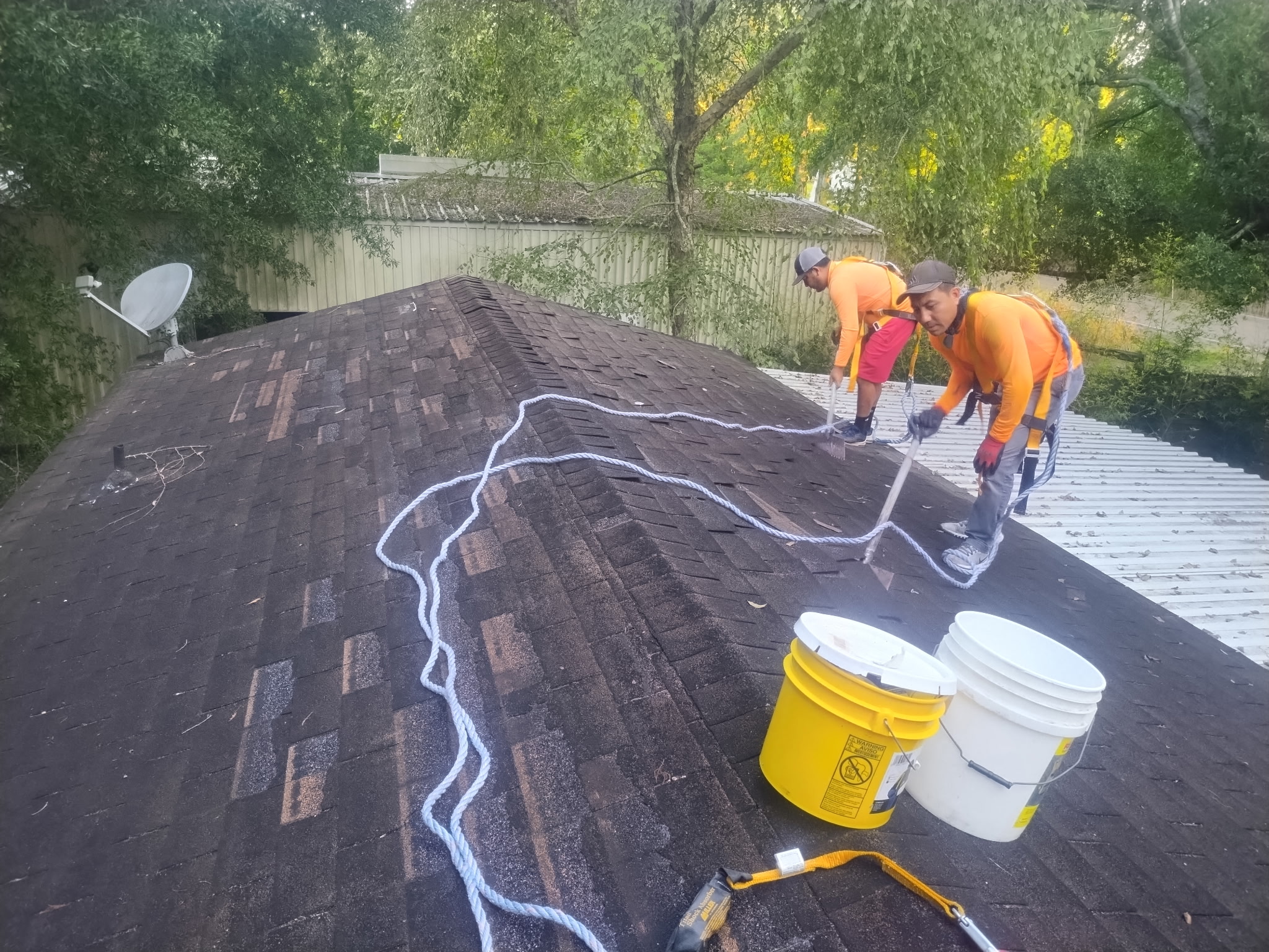 Roof cleaning